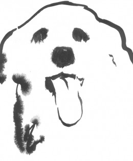 Canine Kind