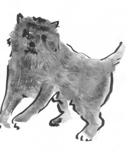Nipping Dog
