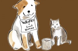 Wanted: Good Human