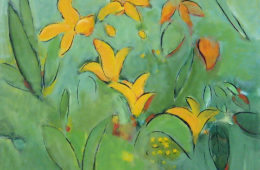 Daylilies